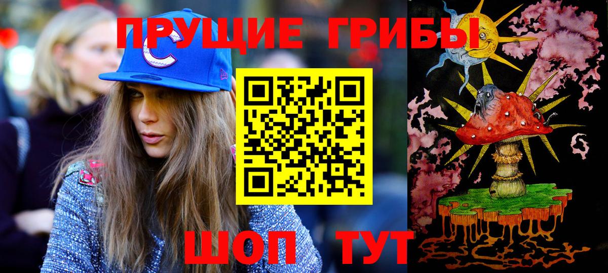 Кемерово  Галлюциногенные грибы Psilocybine cubensis  Вход с VPN 