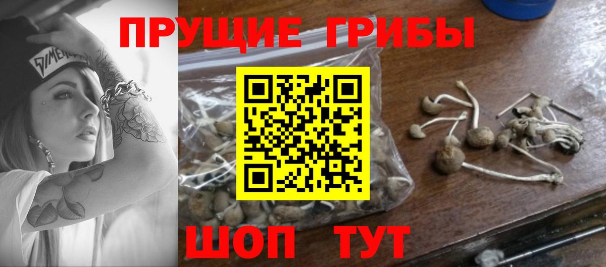 Галлюциногенные грибы GOLDEN TEACHER Кемерово